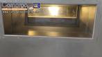 Envasadora rotativa com seladora e t�nel de despirogeniza��o esteriliza��o para ampolas de vidro injet�veis em inox 316L Bausch com CFR 21 ano 2022