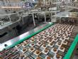 Linha completa de biscoitos laminados, rosquinhas, wafer, cream cracker 4500 kg por hora