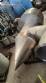 Suspiro (Vent) para tanques com v�lvula GEA